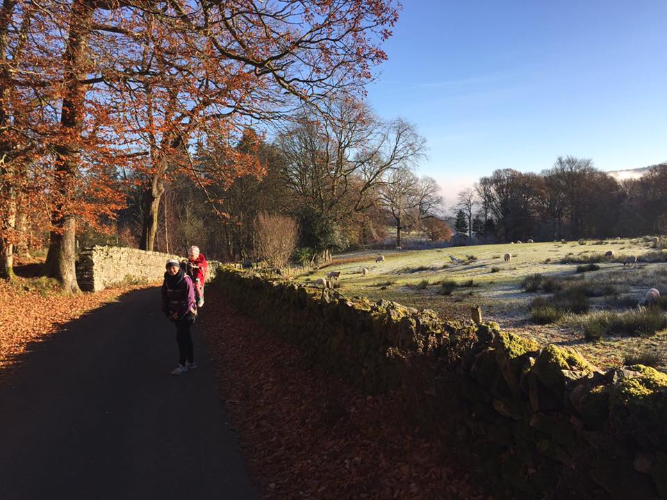 Road towards graythwaite cottages near Hawkshead