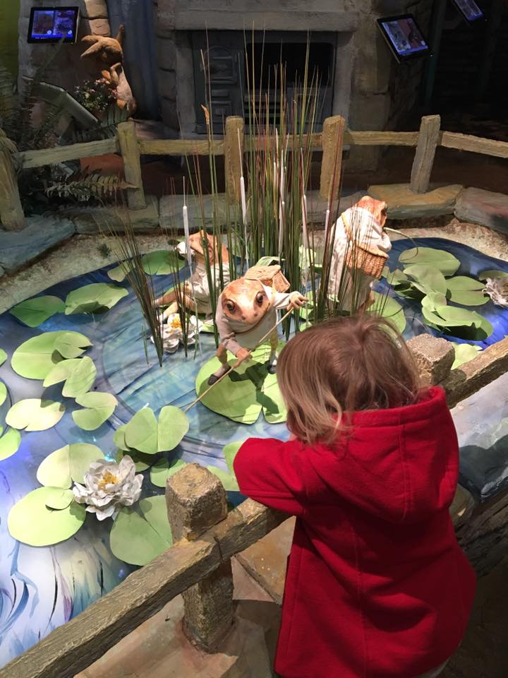 Toddler viewing a display at The World of Beatrix Potter