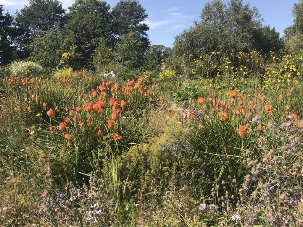 Oxford Botanical Gardens