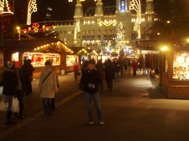 5 Amazing European Christmas Markets. Vienna Christmas market