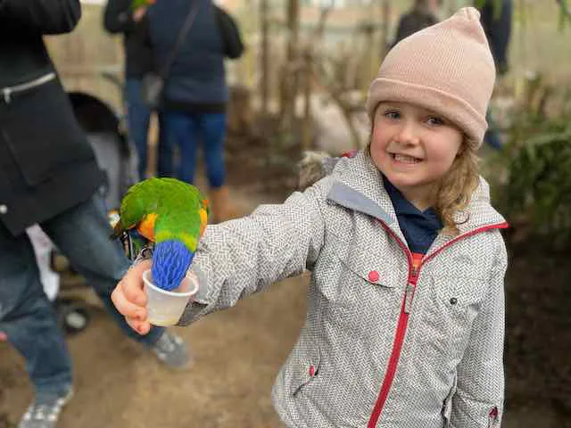 girl feeding lorikeets at longleat