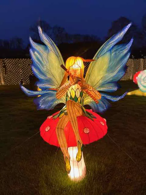 light fairy at nighttime