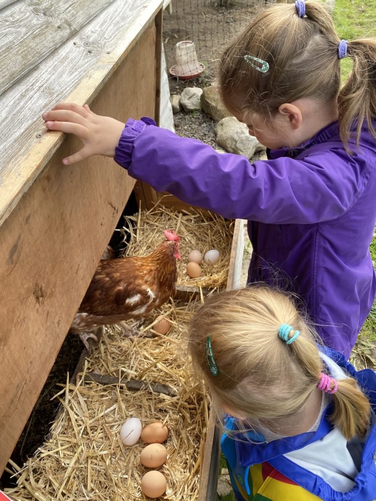 children looking at chicken coop at Cwmberach Uchaf Farm TRAVEL REVIEW - Glamping at Cwmberach Uchaf Farm with Feather Down