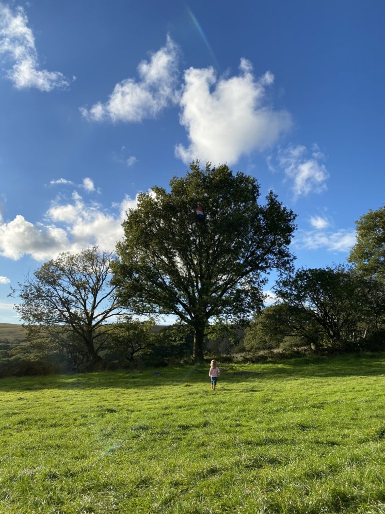 big tree with girl running towards it at Cwmberach Farm Feather Down FarmTRAVEL REVIEW - Glamping at Cwmberach Uchaf Farm with Feather Down