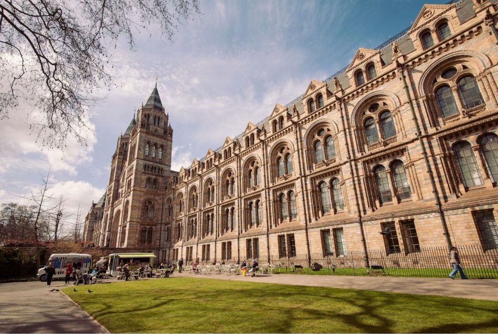 natural history museum