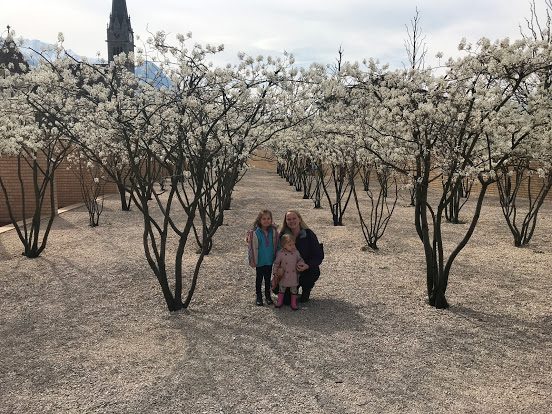 mum and daughters in a courtyard of trees in blossom 