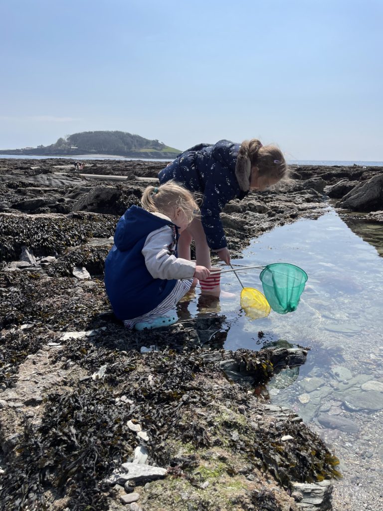 two young children rock pooling with nets