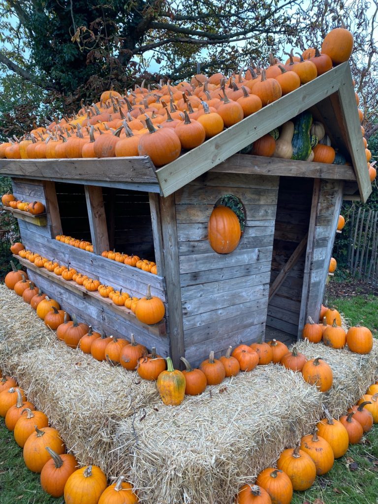 Crockford Bridge Farm Pumpkin Patch. Pumpkin house