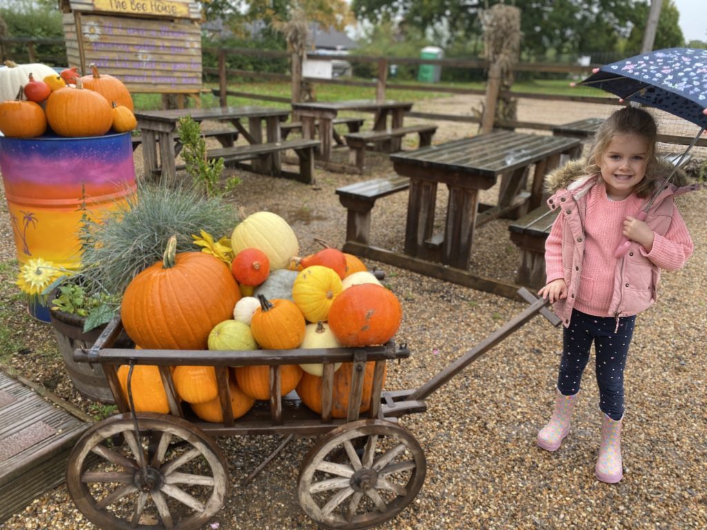 Photo opportunity at Crockford Bridge Farm Pumpkin Patch