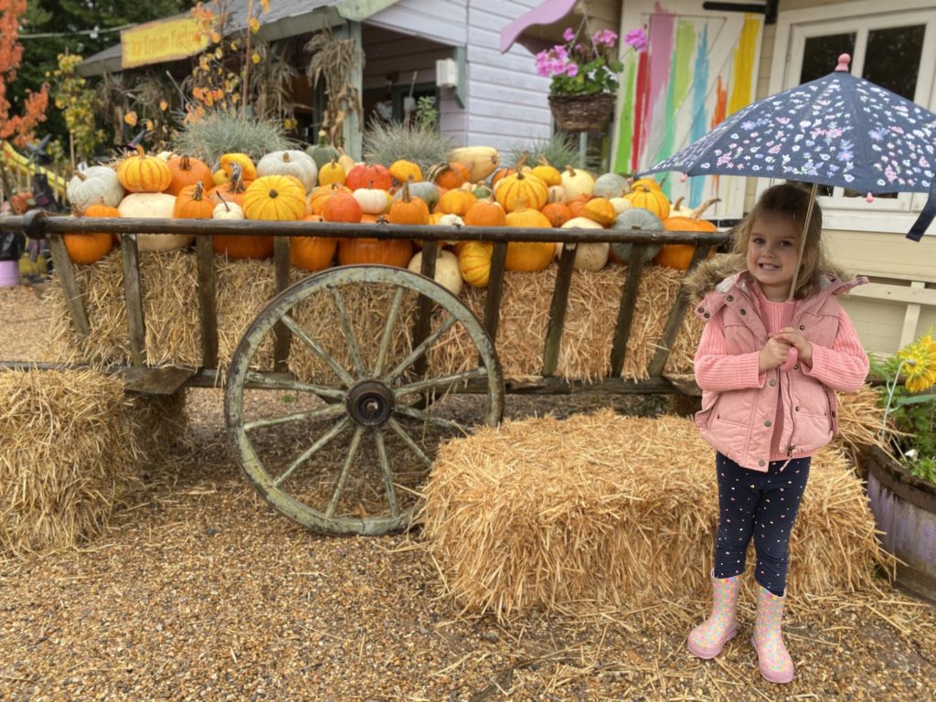 One of the displays at crockford bridge farm pumpkin patch