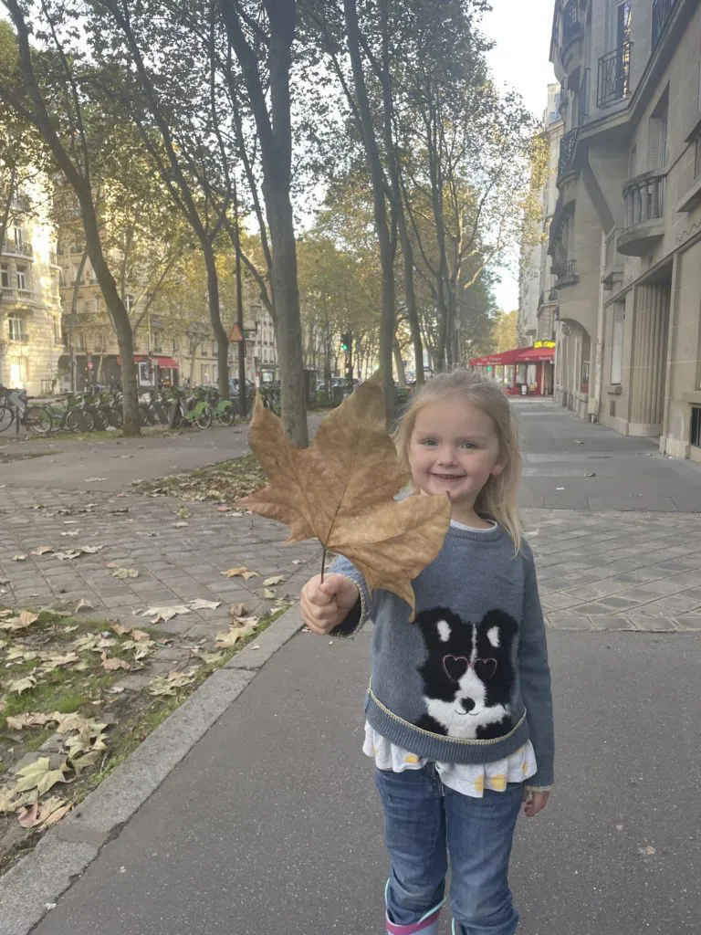 Beautiful Paris in Autumn