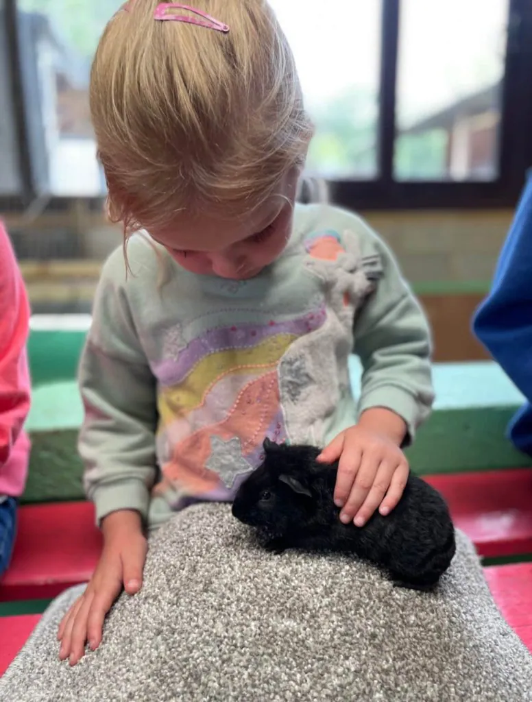 animal handling