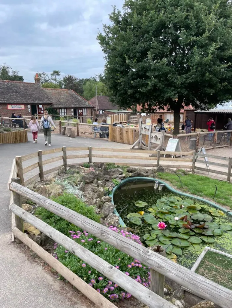 A Day out at Godstone Farm, Surrey