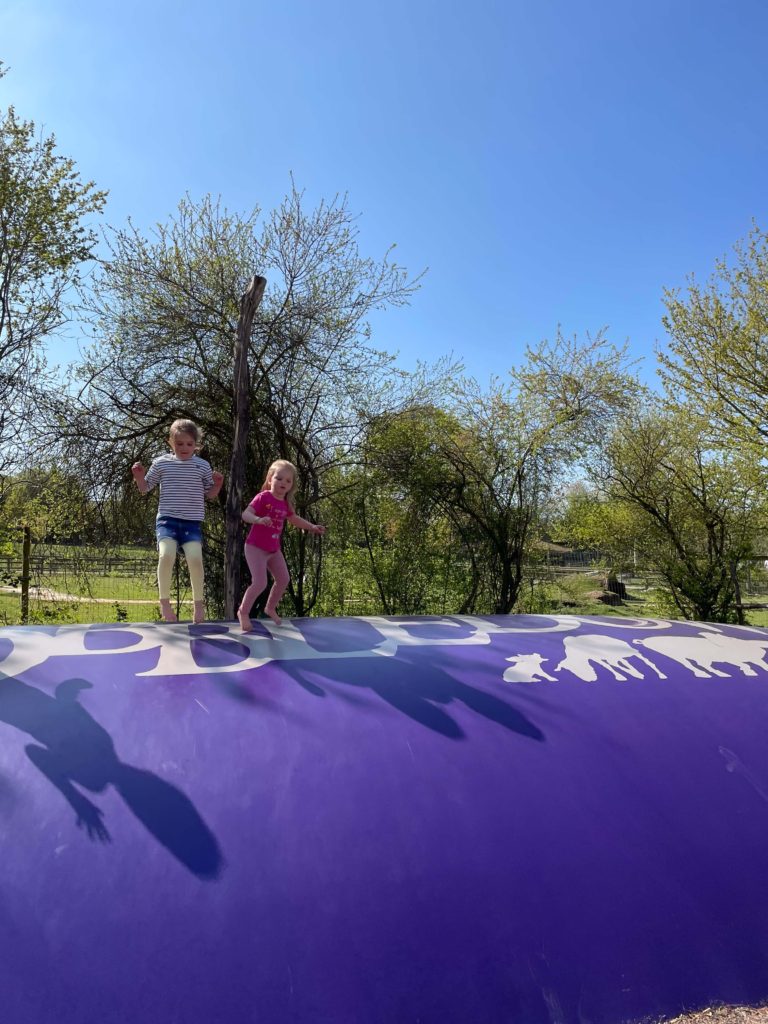 Fun on the jumping pillows 