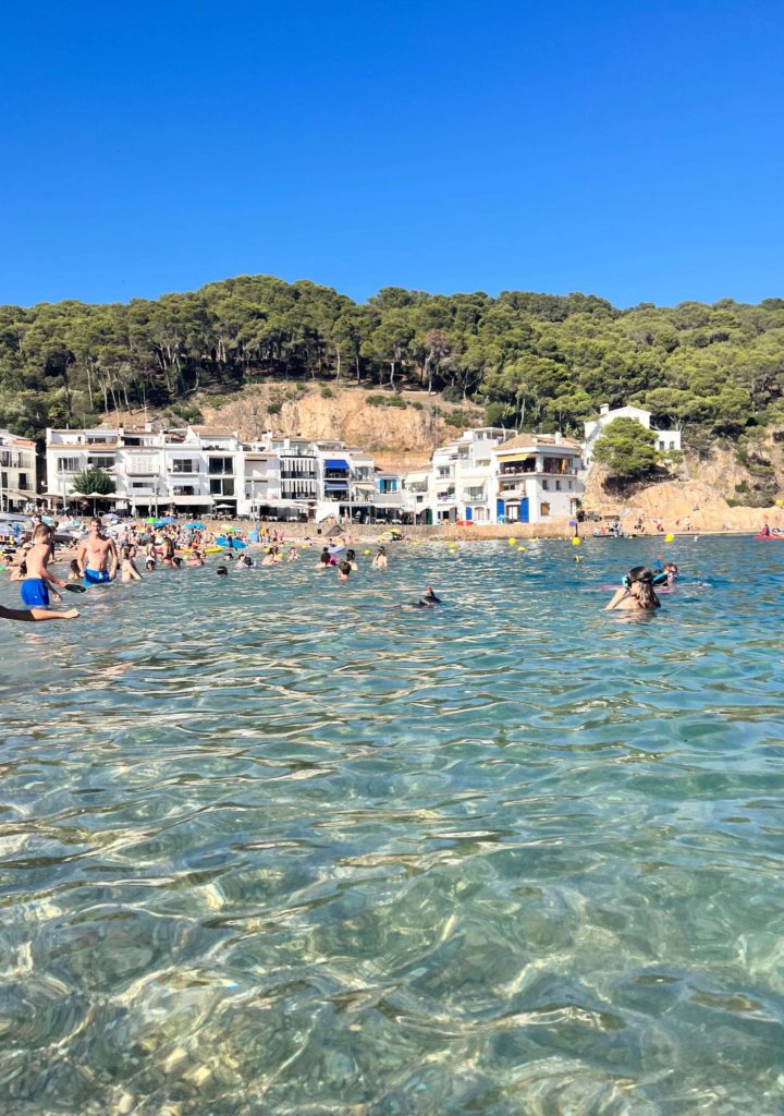 view of a cove from the sea 