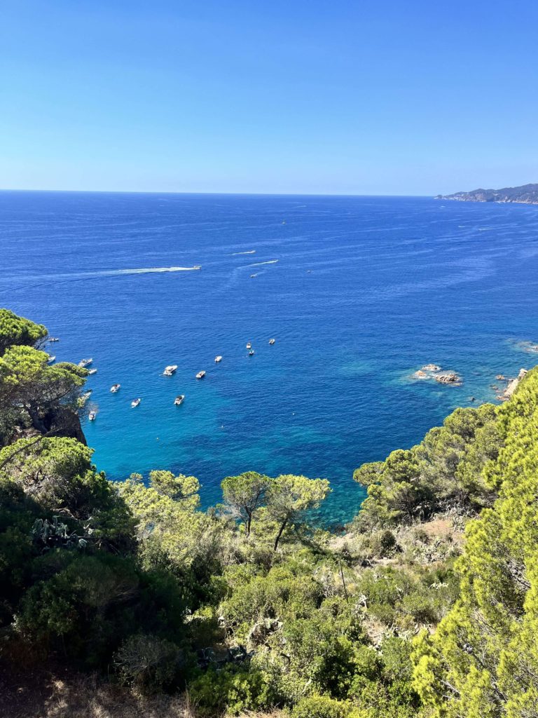 view of sea with trees in foreground