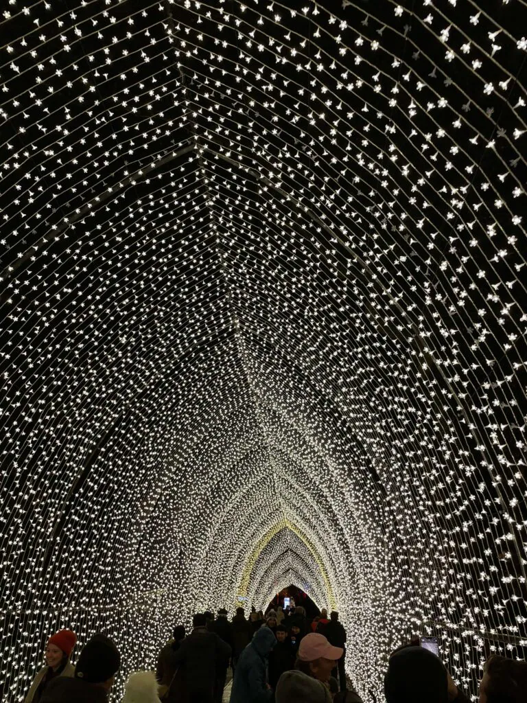 The incredible light tunnel at Christmas at Kew 