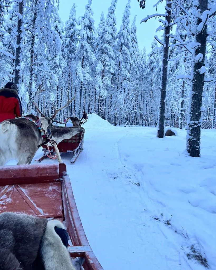 The Perfect Itinerary For 5 Days In Lapland, Finland. Reindeer Ride