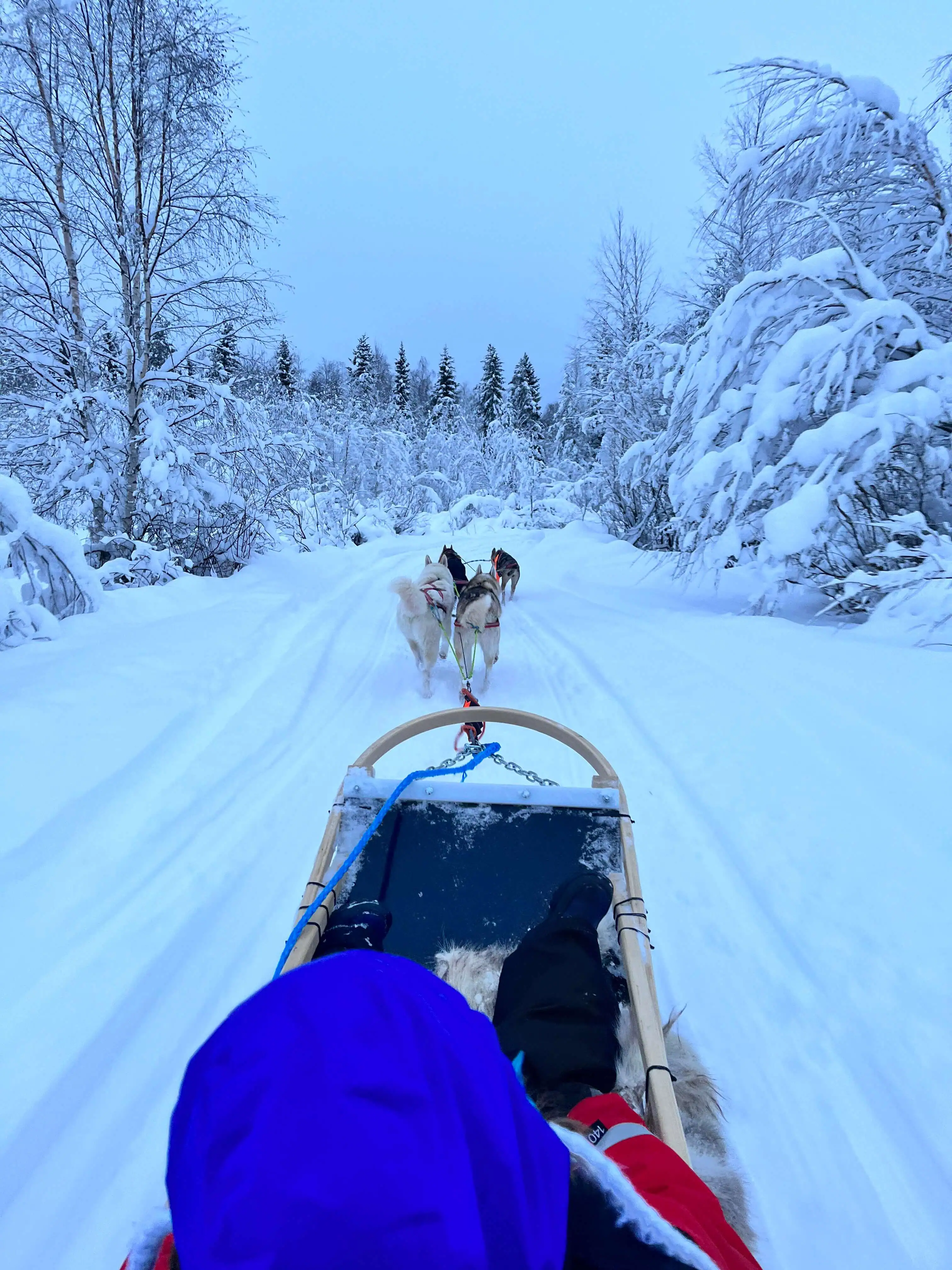 The Perfect Itinerary For 5 Days In Lapland, Finland